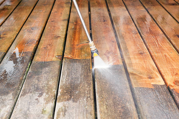 Best Vinyl Siding Pressure Washing in Norfolk, VA